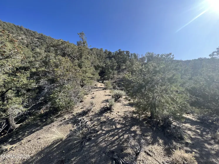 APN 00665121, Hawthorne, Nevada 89415, ,Land,Residential,00665121,250057006