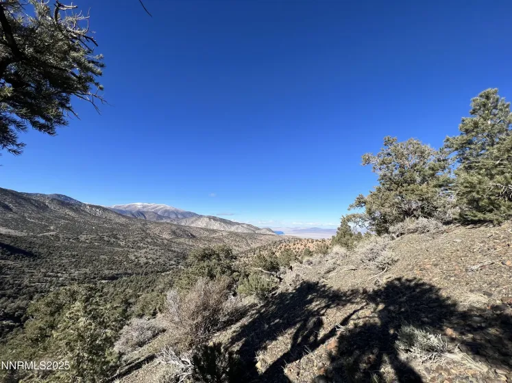 APN 00665121, Hawthorne, Nevada 89415, ,Land,Residential,00665121,250057006