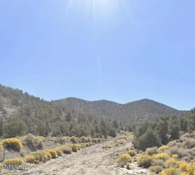 APN 00665121, Hawthorne, Nevada 89415, ,Land,Residential,00665121,250057006