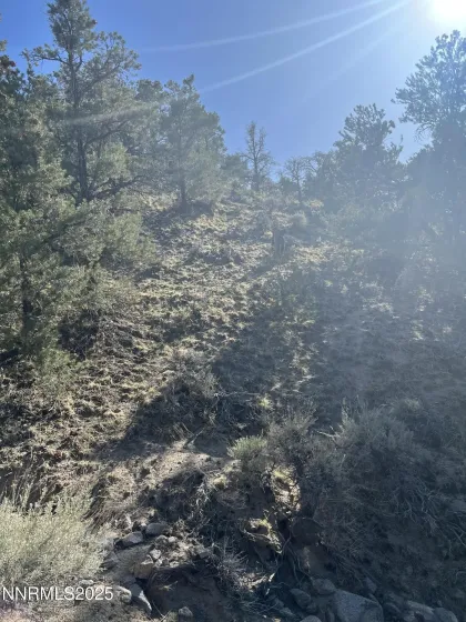 APN 00665121, Hawthorne, Nevada 89415, ,Land,Residential,00665121,250057006