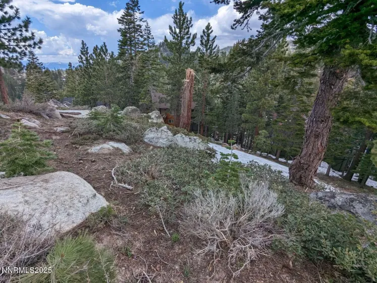 716 Tina, Stateline, Nevada 89449, ,Land,Residential,Tina,250057027