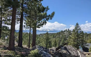 716 Tina, Stateline, Nevada 89449, ,Land,Residential,Tina,250057027