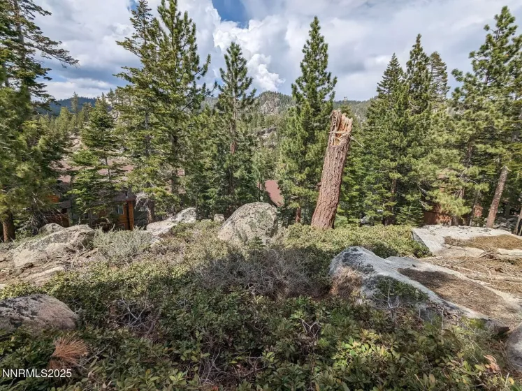 716 Tina, Stateline, Nevada 89449, ,Land,Residential,Tina,250057027