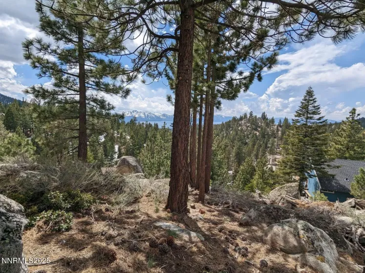 716 Tina, Stateline, Nevada 89449, ,Land,Residential,Tina,250057027