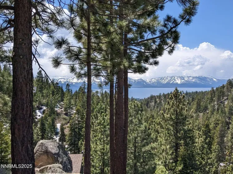 716 Tina, Stateline, Nevada 89449, ,Land,Residential,Tina,250057027