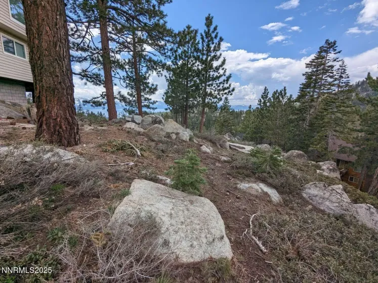 716 Tina, Stateline, Nevada 89449, ,Land,Residential,Tina,250057027