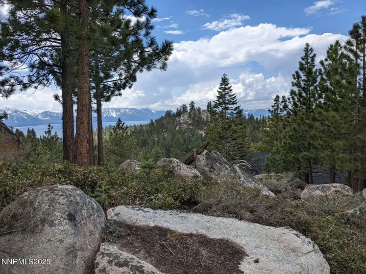 716 Tina, Stateline, Nevada 89449, ,Land,Residential,Tina,250057027