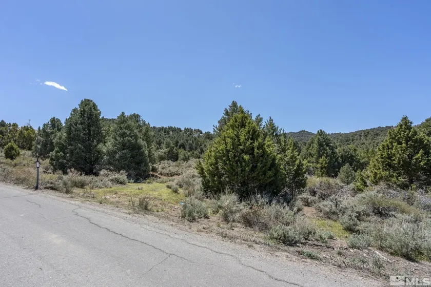 1850 Lousetown, Reno, Nevada 89521, ,Land,Residential,Lousetown,250004918
