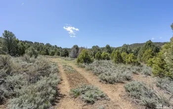 1850 Lousetown, Reno, Nevada 89521, ,Land,Residential,Lousetown,250004918