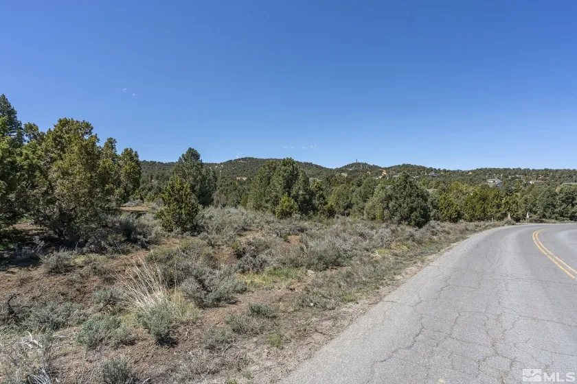 1850 Lousetown, Reno, Nevada 89521, ,Land,Residential,Lousetown,250004918