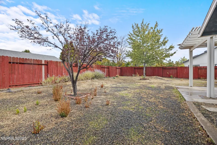 984 Desert, Carson City, Nevada 89705, 3 Bedrooms Bedrooms, ,2 BathroomsBathrooms,Residential,Residential,Desert,250057030