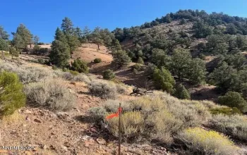 0 Buckeye, off of, Virginia City, Nevada 89440, ,Land,Residential,Buckeye, off of,250057076