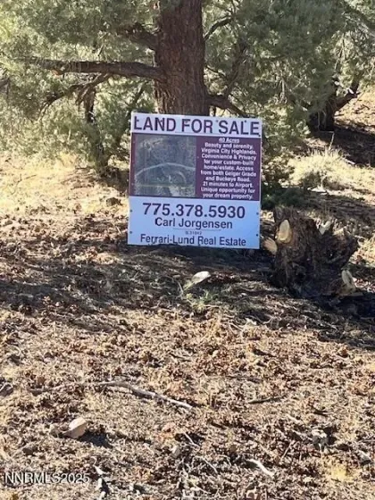 0 Buckeye, off of, Virginia City, Nevada 89440, ,Land,Residential,Buckeye, off of,250057076