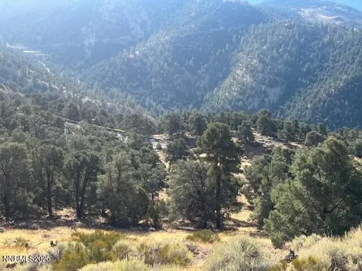 0 Buckeye, off of, Virginia City, Nevada 89440, ,Land,Residential,Buckeye, off of,250057076