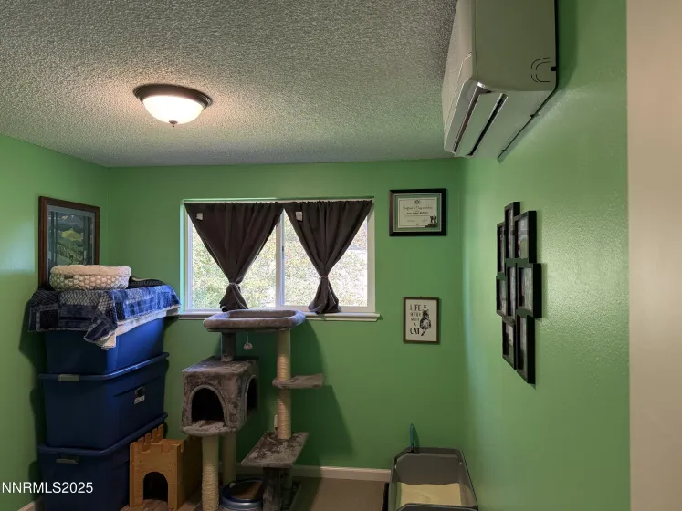 1325 Green, Carson City, Nevada 89706, 3 Bedrooms Bedrooms, ,2 BathroomsBathrooms,Residential,Residential,Green,250057121