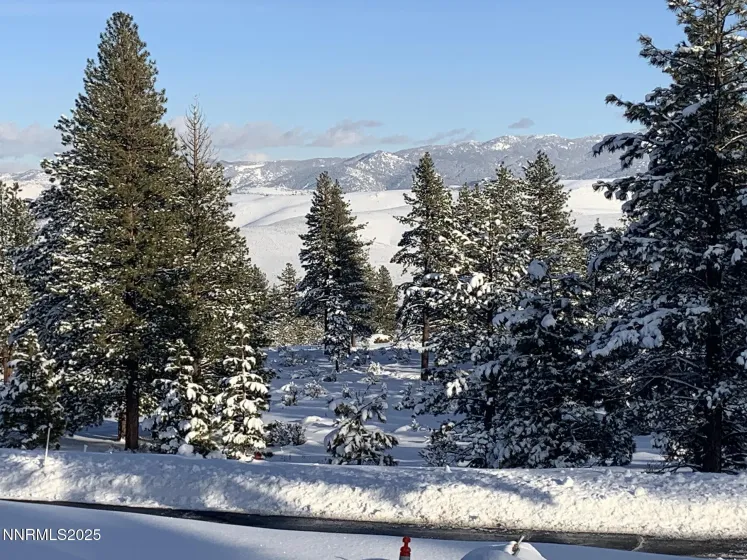 177 Nottingham, Reno, Nevada 89511, ,Land,Residential,Nottingham,250057131