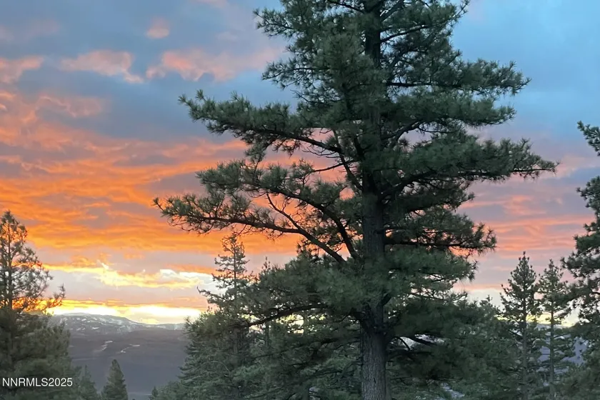 177 Nottingham, Reno, Nevada 89511, ,Land,Residential,Nottingham,250057131