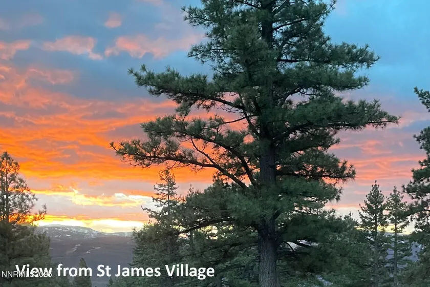 177 Nottingham, Reno, Nevada 89511, ,Land,Residential,Nottingham,250057131