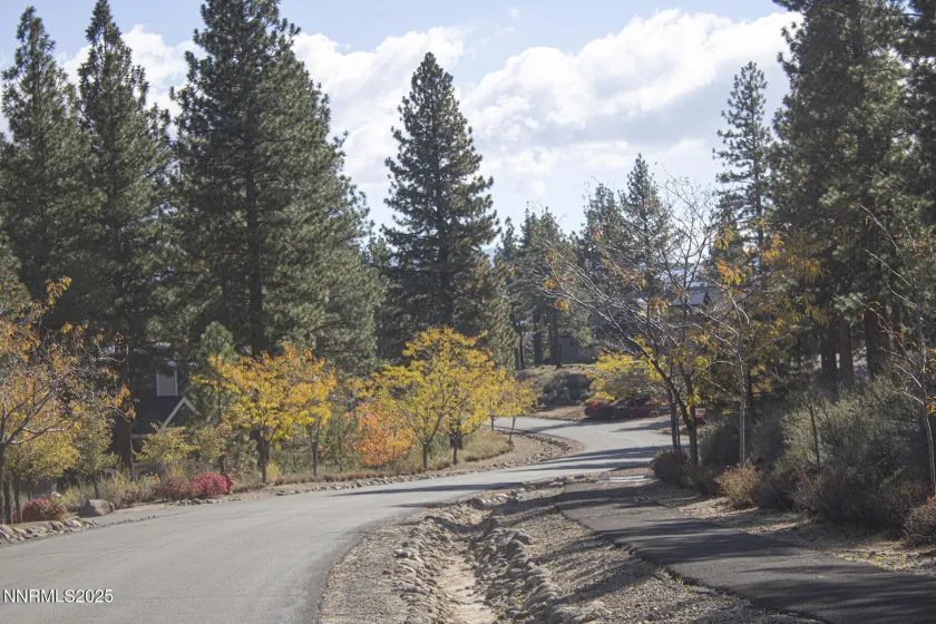 177 Nottingham, Reno, Nevada 89511, ,Land,Residential,Nottingham,250057131