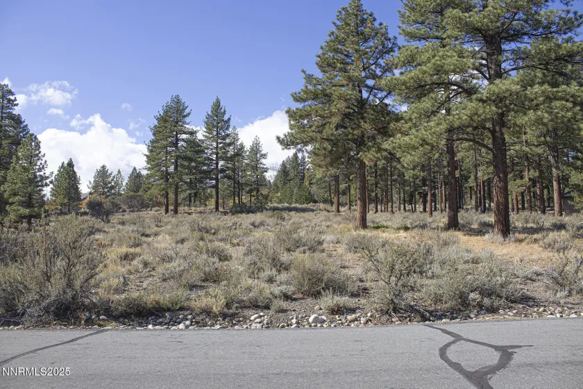 177 Nottingham, Reno, Nevada 89511, ,Land,Residential,Nottingham,250057131