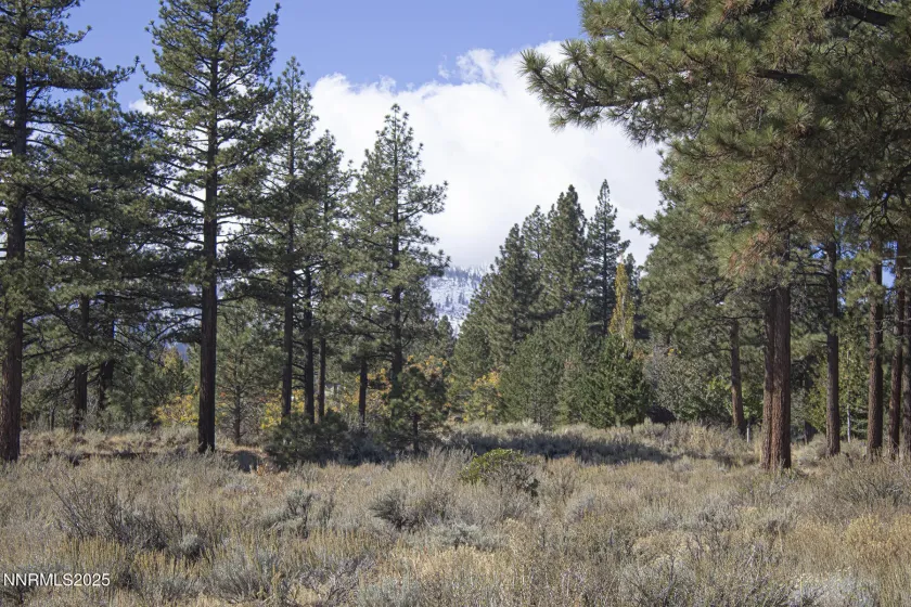 177 Nottingham, Reno, Nevada 89511, ,Land,Residential,Nottingham,250057131