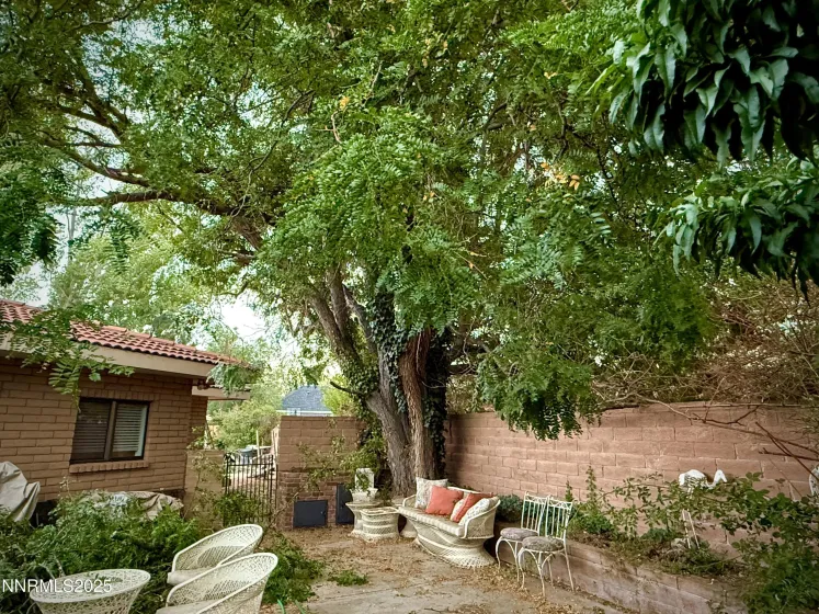 1616 Belarra, Minden, Nevada 89423, 3 Bedrooms Bedrooms, ,3 BathroomsBathrooms,Residential,Residential,Belarra,250057133