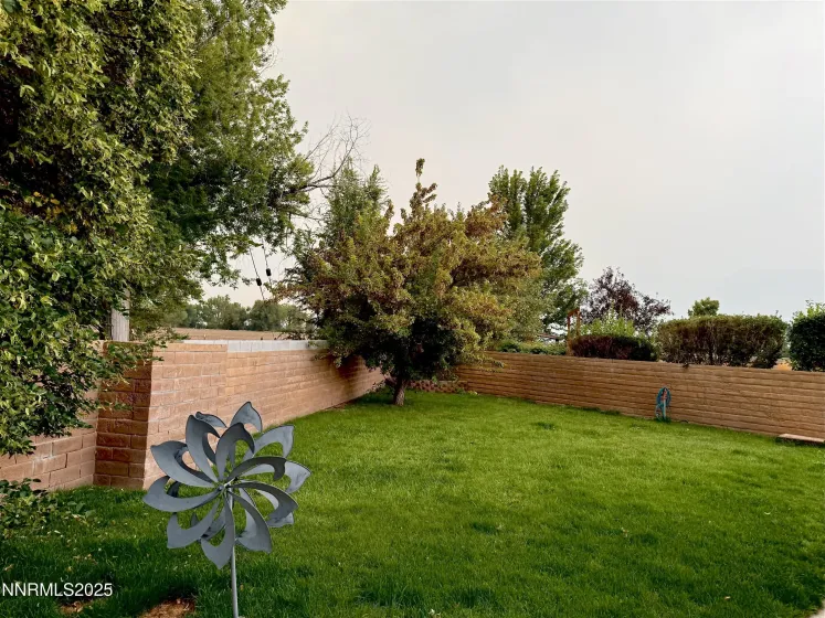 1616 Belarra, Minden, Nevada 89423, 3 Bedrooms Bedrooms, ,3 BathroomsBathrooms,Residential,Residential,Belarra,250057133