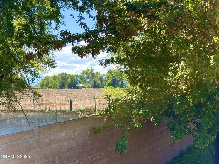 1616 Belarra, Minden, Nevada 89423, 3 Bedrooms Bedrooms, ,3 BathroomsBathrooms,Residential,Residential,Belarra,250057133