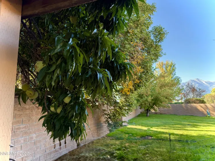 1616 Belarra, Minden, Nevada 89423, 3 Bedrooms Bedrooms, ,3 BathroomsBathrooms,Residential,Residential,Belarra,250057133