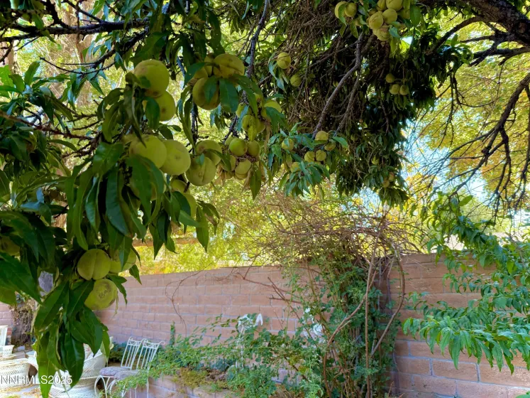 1616 Belarra, Minden, Nevada 89423, 3 Bedrooms Bedrooms, ,3 BathroomsBathrooms,Residential,Residential,Belarra,250057133