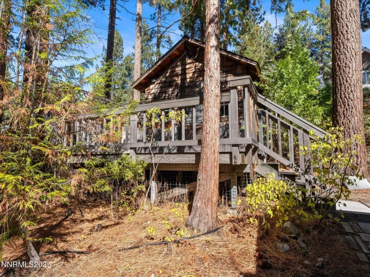Cabin 2