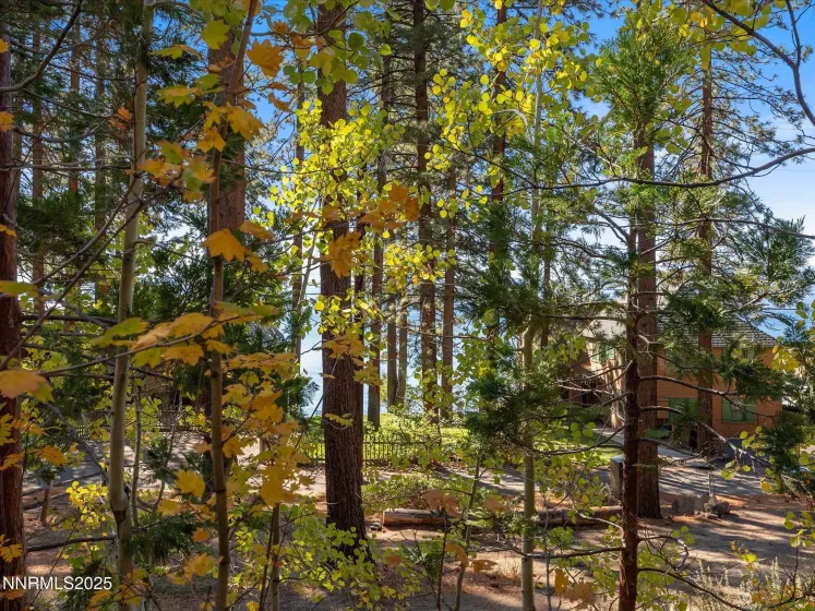 625 Lake Shore Blvd., Zephyr Cove, Nevada 89448, 2 Bedrooms Bedrooms, ,1 BathroomBathrooms,Residential,Residential,Lake Shore Blvd.,250057155