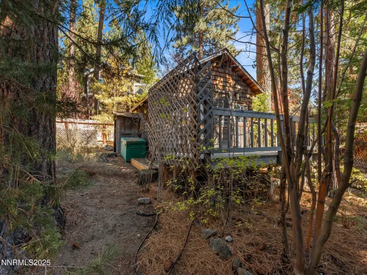 Cabin 2