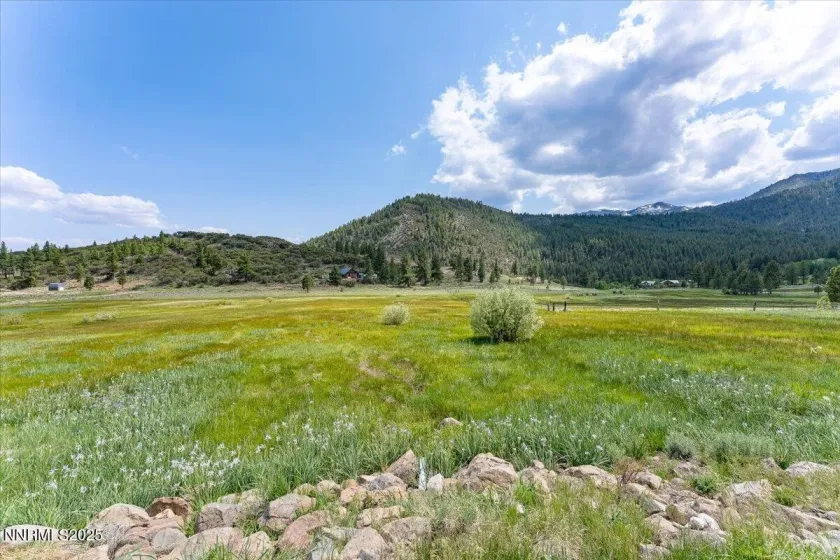 16400 Logan Meadow, Reno, Nevada 89511, 3 Bedrooms Bedrooms, ,3 BathroomsBathrooms,Residential,Residential,Logan Meadow,250054773