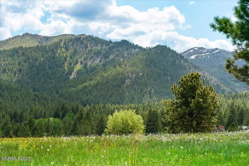 16400 Logan Meadow, Reno, Nevada 89511, 3 Bedrooms Bedrooms, ,3 BathroomsBathrooms,Residential,Residential,Logan Meadow,250054773