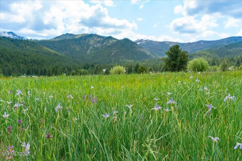 16400 Logan Meadow, Reno, Nevada 89511, 3 Bedrooms Bedrooms, ,3 BathroomsBathrooms,Residential,Residential,Logan Meadow,250054773