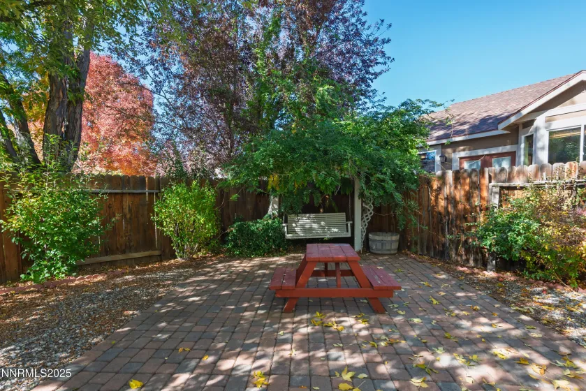 Backyard & patio