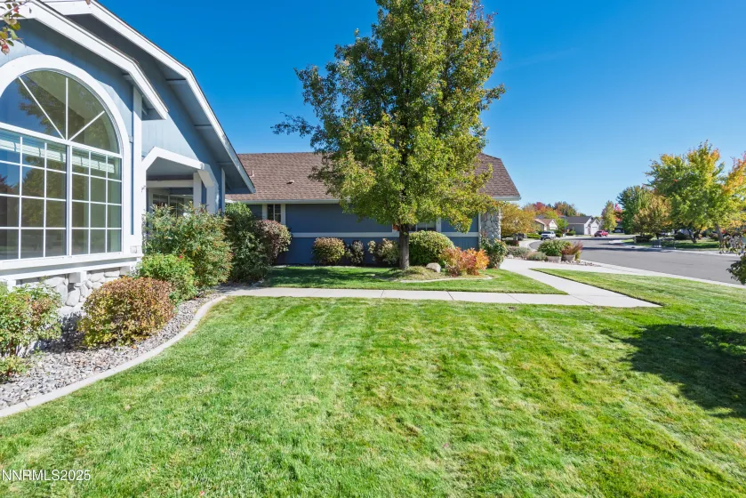 Front yard