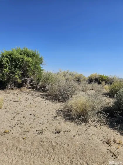 8245 Kamibo, Fallon, Nevada 89406, ,Land,Residential,Kamibo,230007983