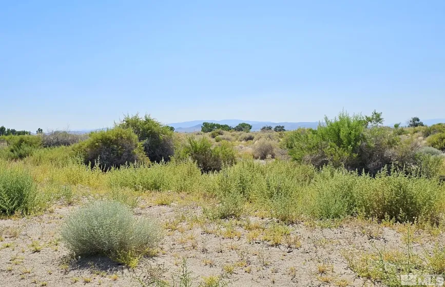 8245 Kamibo, Fallon, Nevada 89406, ,Land,Residential,Kamibo,230007983