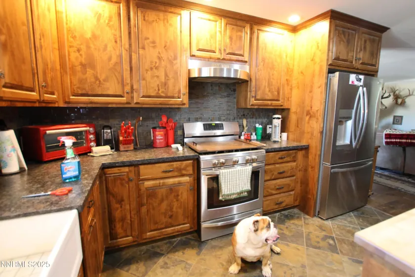 15 Brown, Yerington, Nevada 89447, 2 Bedrooms Bedrooms, ,2 BathroomsBathrooms,Residential,Residential,Brown,250057261
