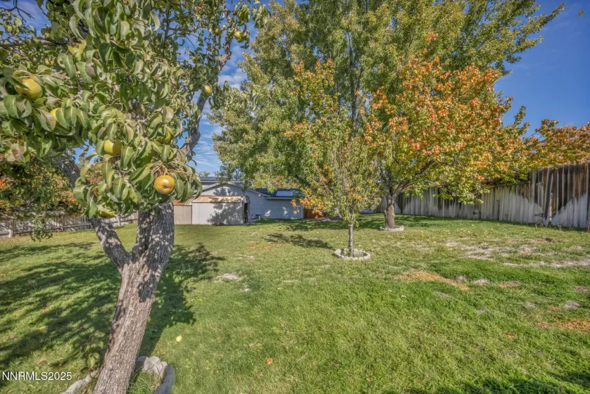 3370 Shawnee, Reno, Nevada 89502, 4 Bedrooms Bedrooms, ,3 BathroomsBathrooms,Residential,Residential,Shawnee,250057267