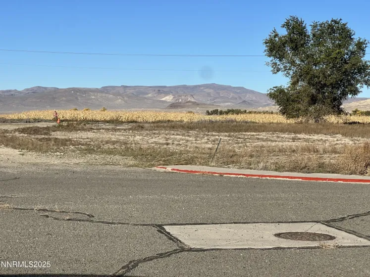 510 Rose, Lovelock, Nevada 89419, ,Land,Residential,Rose,250057284