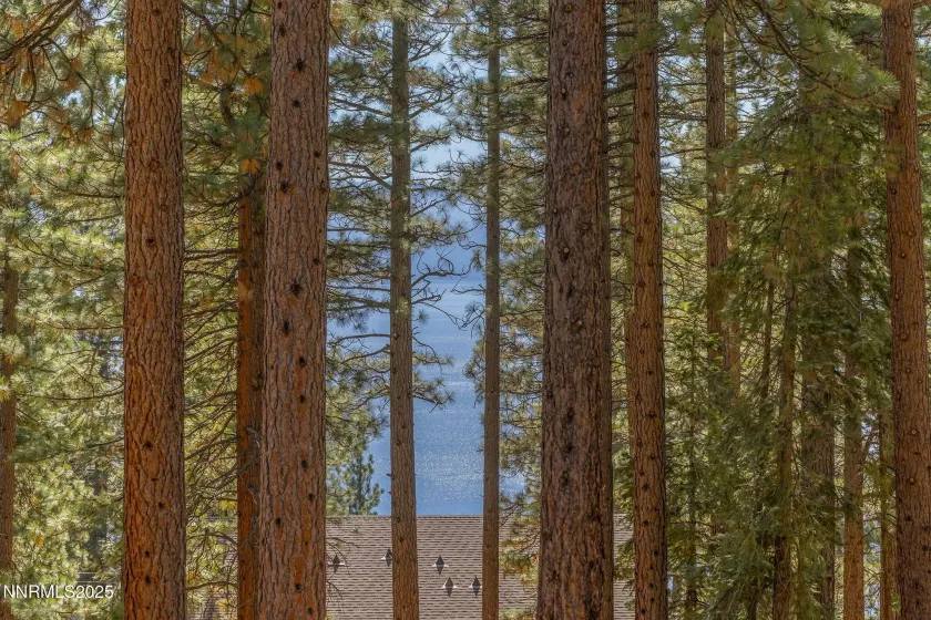 563 Tyner, Incline Village, Nevada 89451, 4 Bedrooms Bedrooms, ,5 BathroomsBathrooms,Residential,Residential,Tyner,250057286