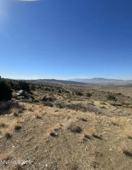 1325 Freds Mountain, Reno, Nevada 89508, ,Land,Residential,Freds Mountain,250057195
