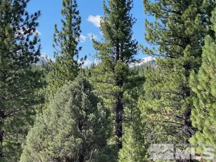 Lot 2 Raymond, Markleeville, California 96120, ,Land,Residential,Raymond,210006100