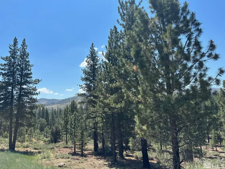 Lot 2 Raymond, Markleeville, California 96120, ,Land,Residential,Raymond,210006100