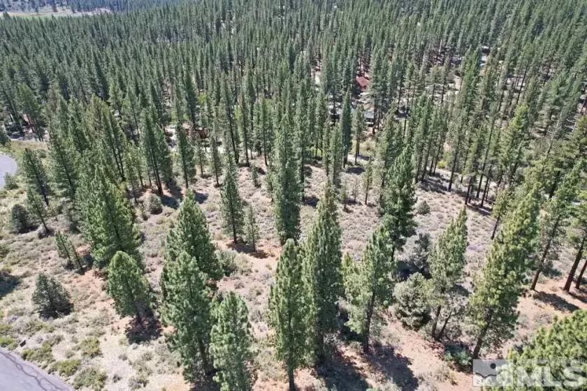 Lot 2 Raymond, Markleeville, California 96120, ,Land,Residential,Raymond,210006100