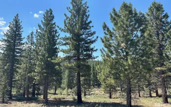 Lot 2 Raymond, Markleeville, California 96120, ,Land,Residential,Raymond,210006100