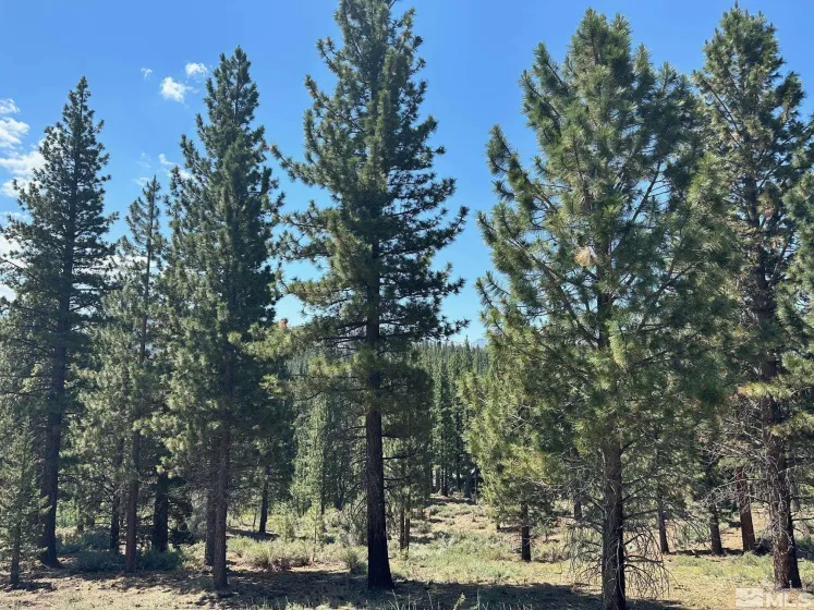 Lot 2 Raymond, Markleeville, California 96120, ,Land,Residential,Raymond,210006100